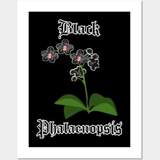 Black Phalaenopsis – Gothic orchid flowers Posters and Art